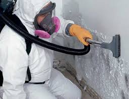 Best Mold Prevention Services  in East Merrimack, NH